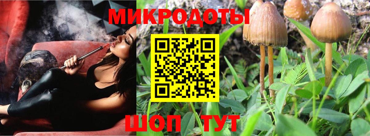 Псилоцибиновые грибы Psilocybine cubensis Миасс